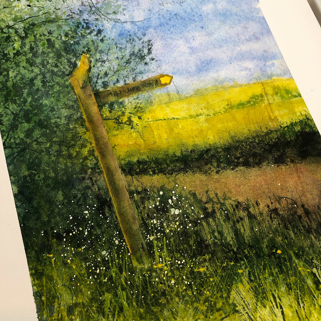 The North Downs Way at Conduit Farm