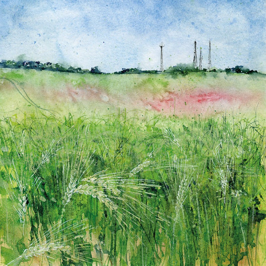 1045 Early summer, Hog's Back