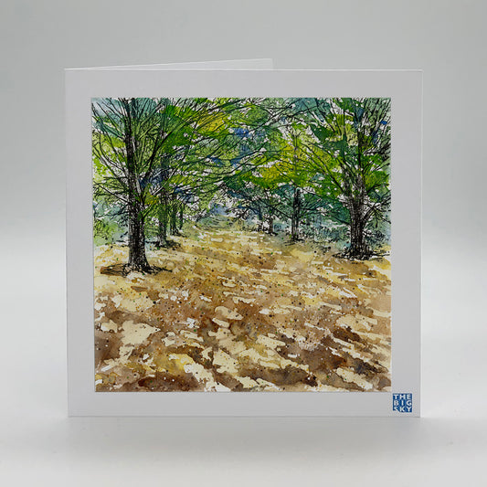 1025: 'Summer, Onslow Village arboretum' greetings card