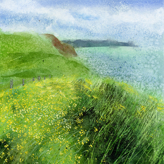 1043 Looking east to St Aldhelm's Head