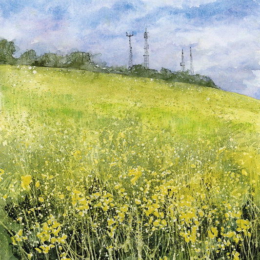 1044 Oilseed fields and TV masts