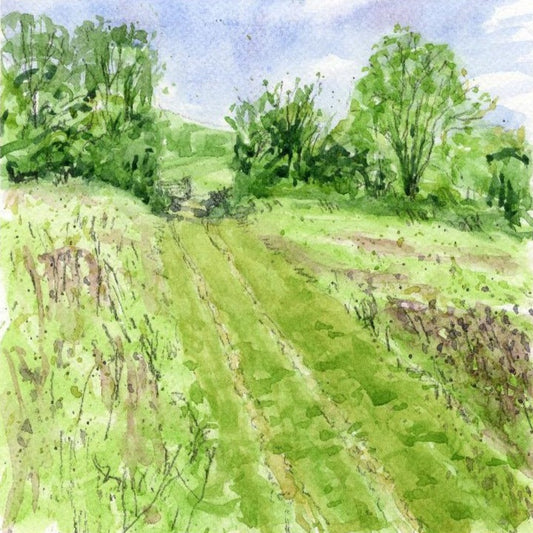 1036 Summer on the Hogs Back