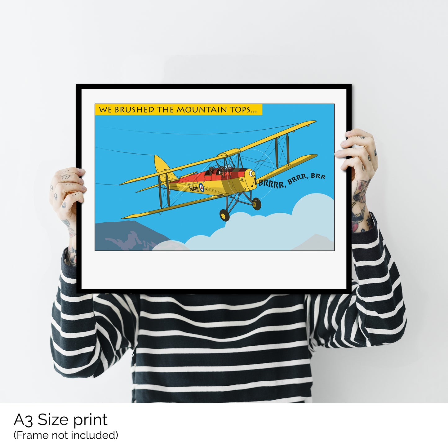 1057: de Havilland Tiger Moth