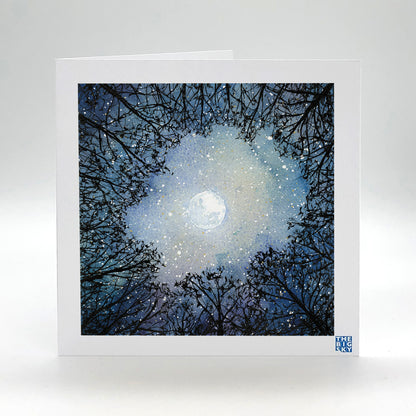 1014: The moonlit Clearing