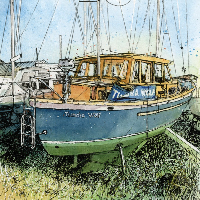 1037 The 'Tundra Wolf'